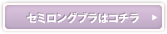 フルール セミロングブラはコチラ