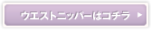 フルール ウエストニッパーはコチラ